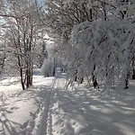 U Boženky *